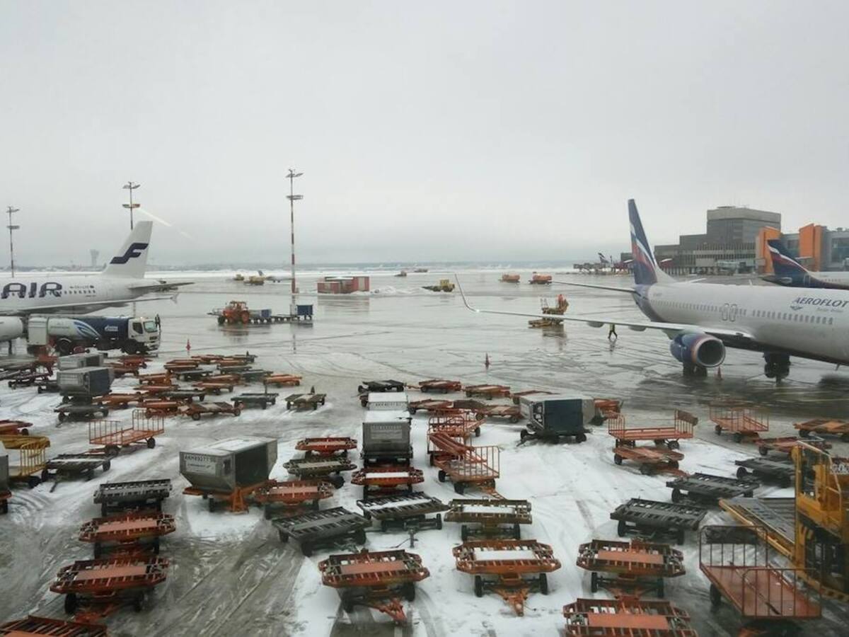 Aircraft and cargo trailers on an airport apron